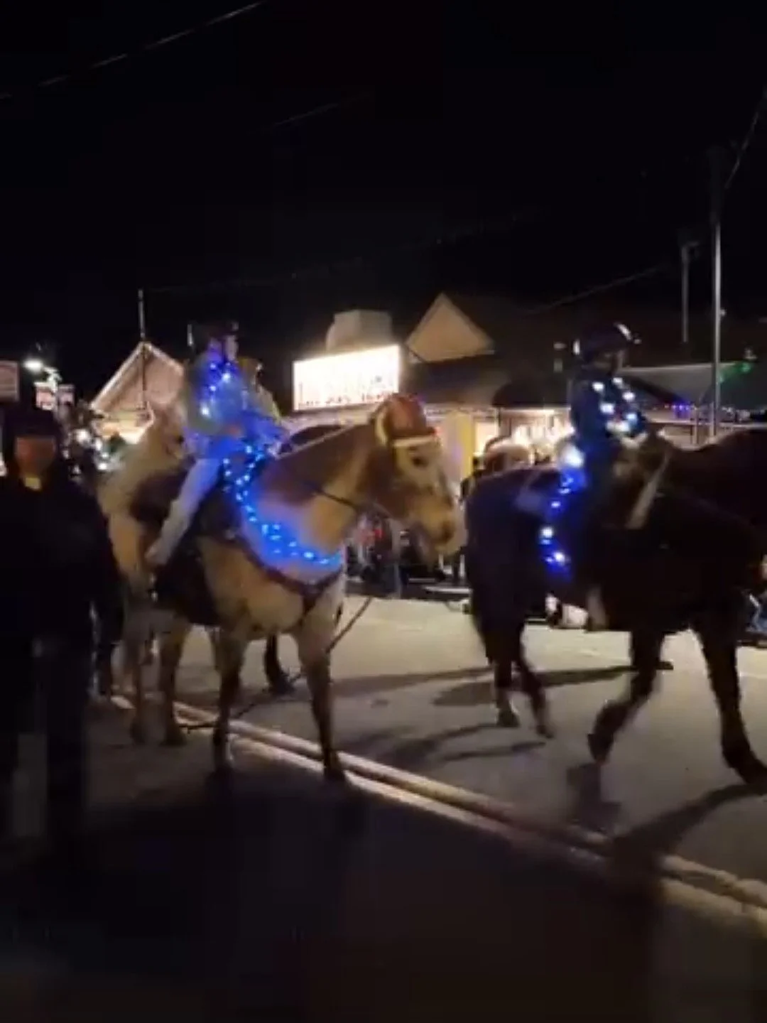 Night scene of two horses with riders decorated with blue and white lights, on a street with buildings and signs in the background.