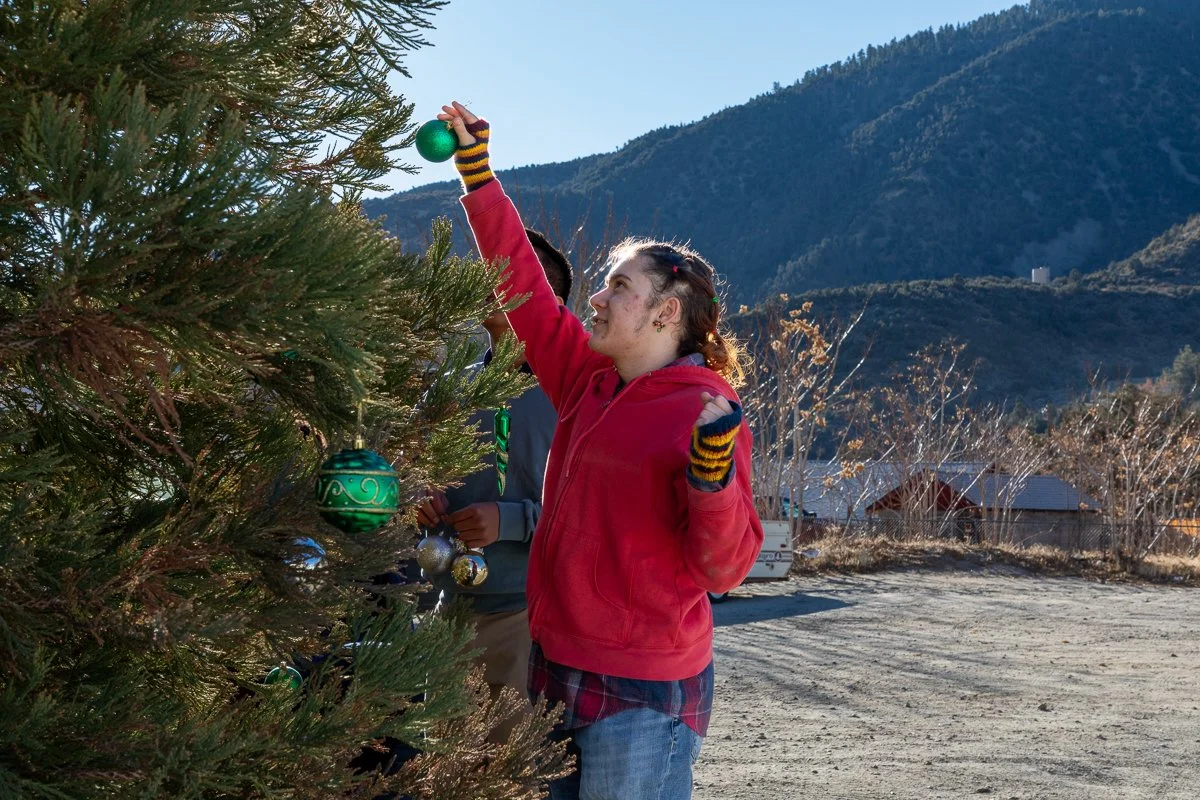 Young girl in red hoodie hanging green ornament on Christmas tree outdoors with mountains in the background.