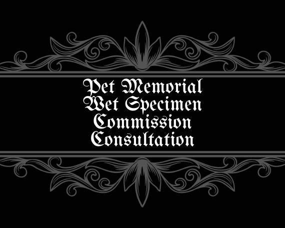 https://i.etsystatic.com/35434704/r/il/71aae6/5045779701/il_fullxfull.5045779701_l7m2.jpg