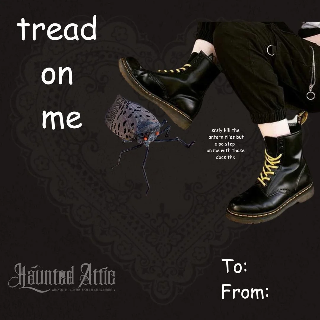 ❤️&zwj;🔥💋 xoxo 💋❤️&zwj;🔥