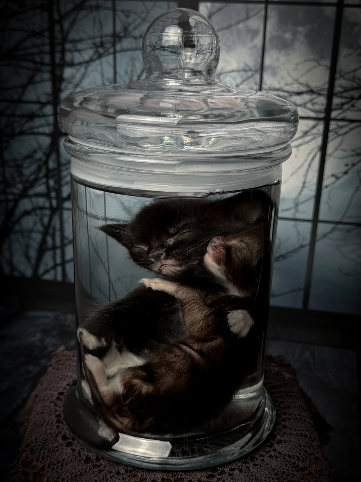 🐈&zwj;⬛ Mink &amp; Weasel 🐈&zwj;⬛

Deep in the trenches of holiday orders but these sweet angel babies about to head home needed some recognition 🥺👼🏼