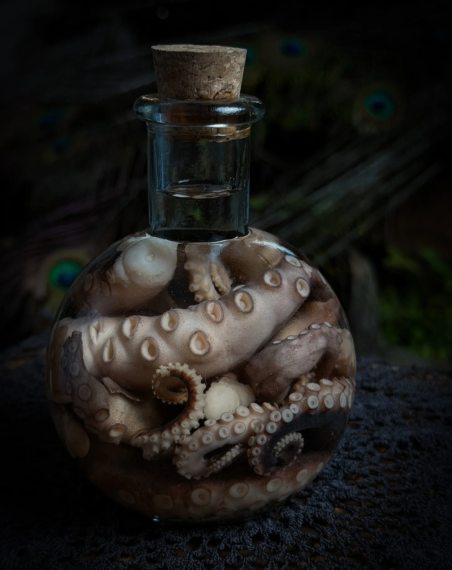 Ocean secrets suspended in time 🐙