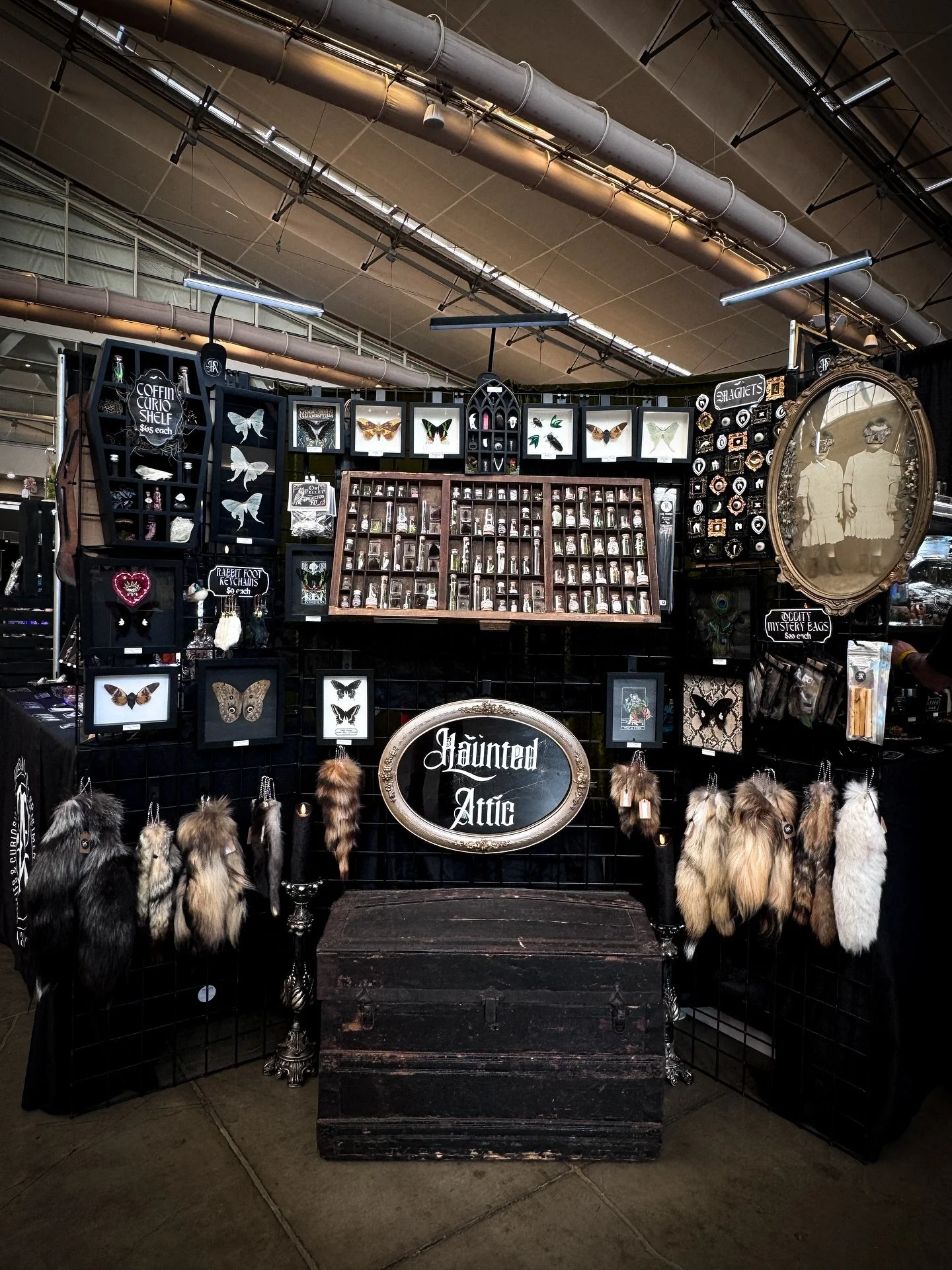 ⚠️ STEEL CITY ⚠️

Join us and all of our weird friends for our last @odditiesandcuriositiesexpo stop of 2025 in Pittsburgh, today and tomorrow! 

#odditiesandcuriositiesexpo #pittsburgh #pgh #steelcity #odditiesandcuriosities #wetspecimens #taxidermy