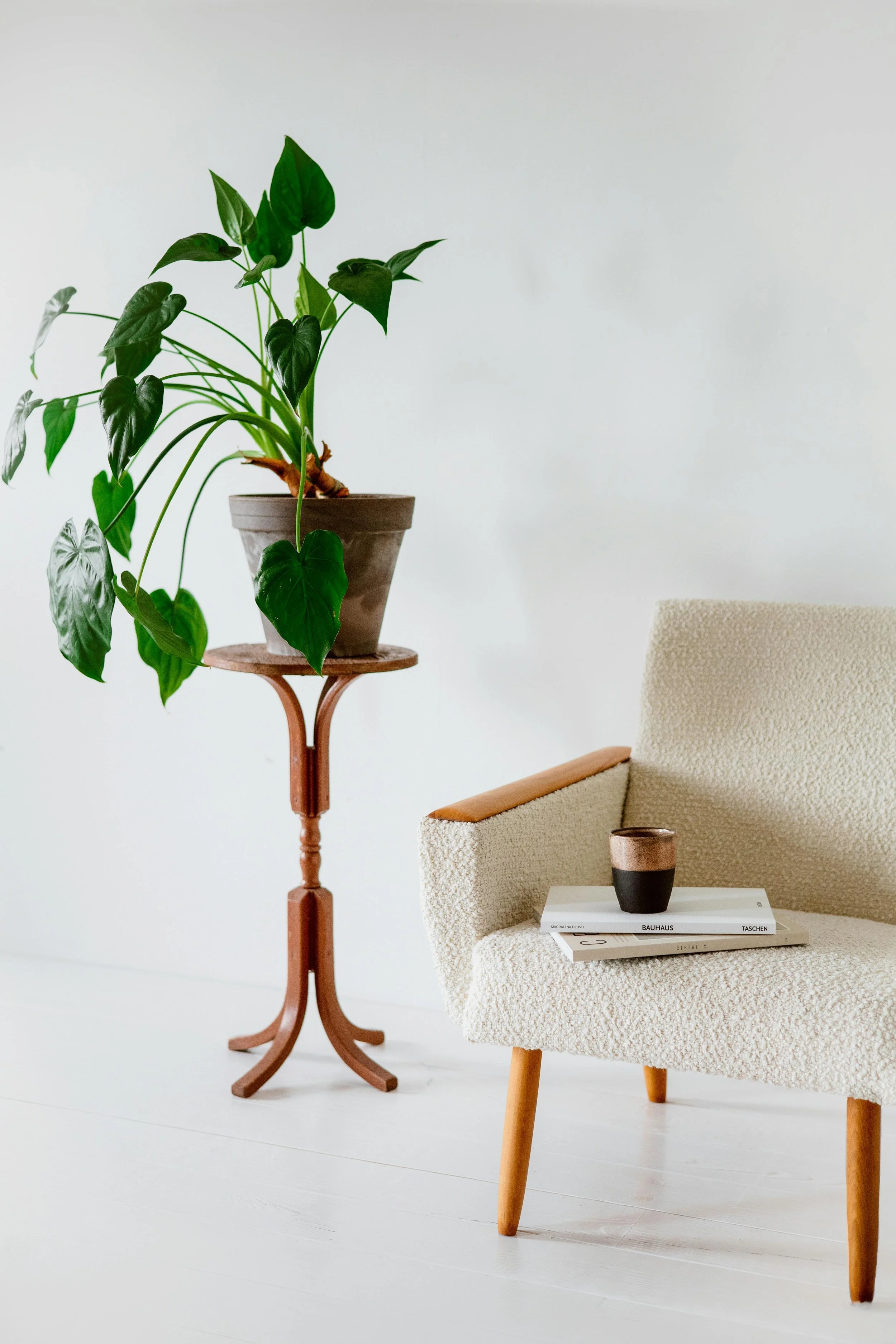 Indoor scene with a beige upholstered armchair, a small black and copper cup on top of a stack of books, and a tall potted green plant on a wooden stand against a white wall.