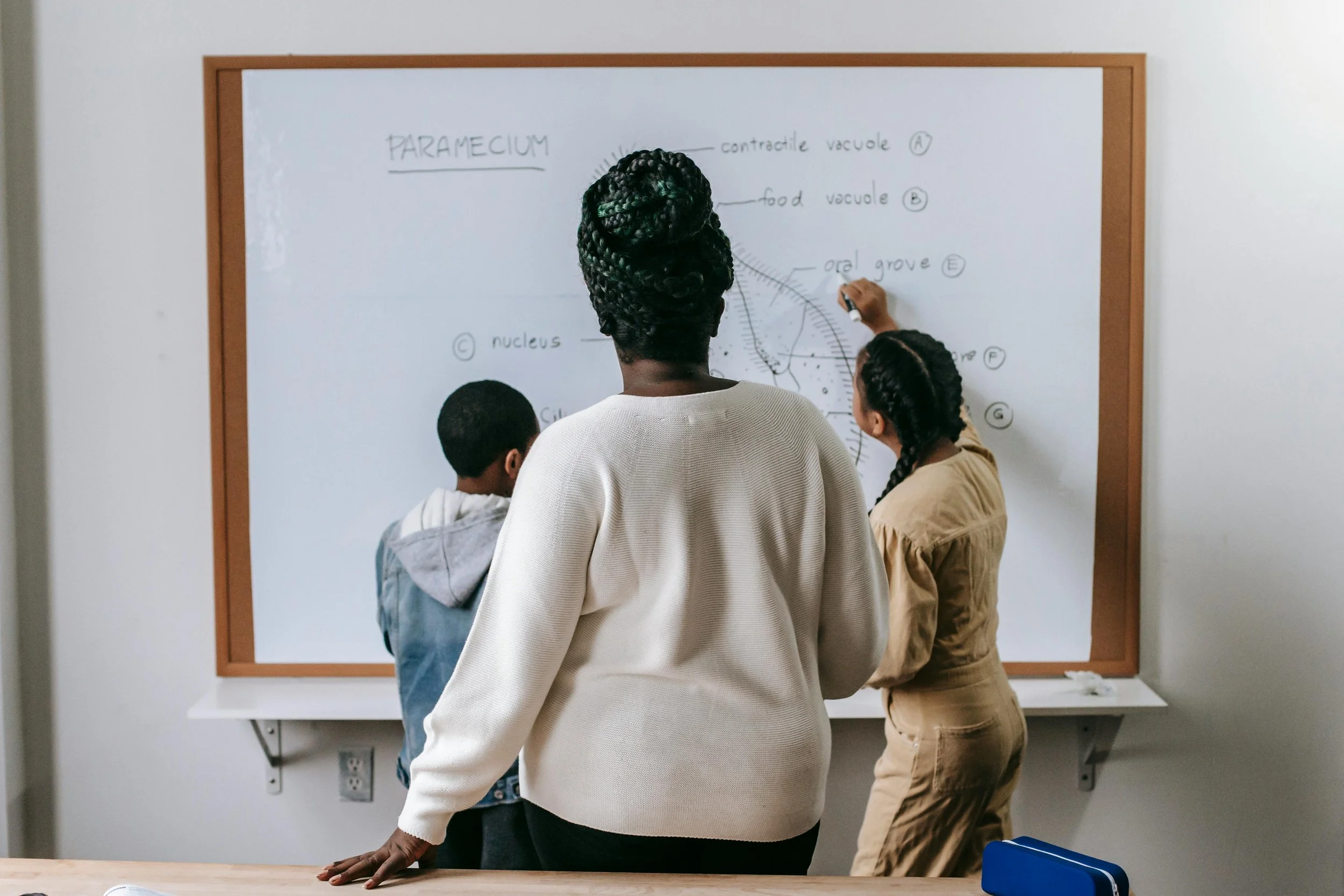 A teacher and two students studying the human anatomy of the parasympathetic nervous system on a whiteboard in a classroom.