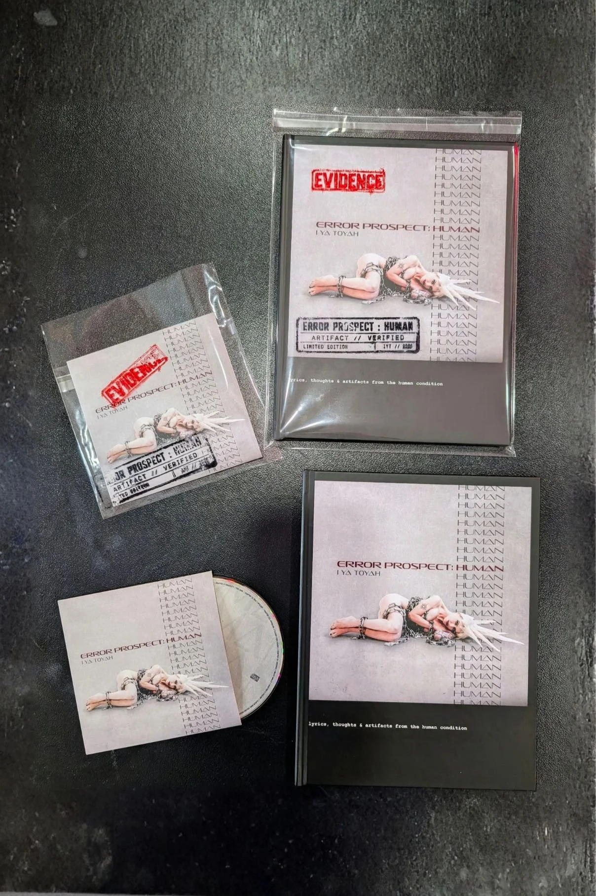 BUNDLE Photo 2 - Book cd evidence studio table.jpg