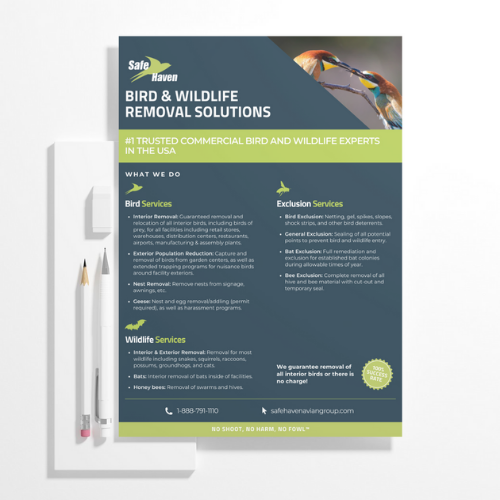 Safe Haven Flyer.png