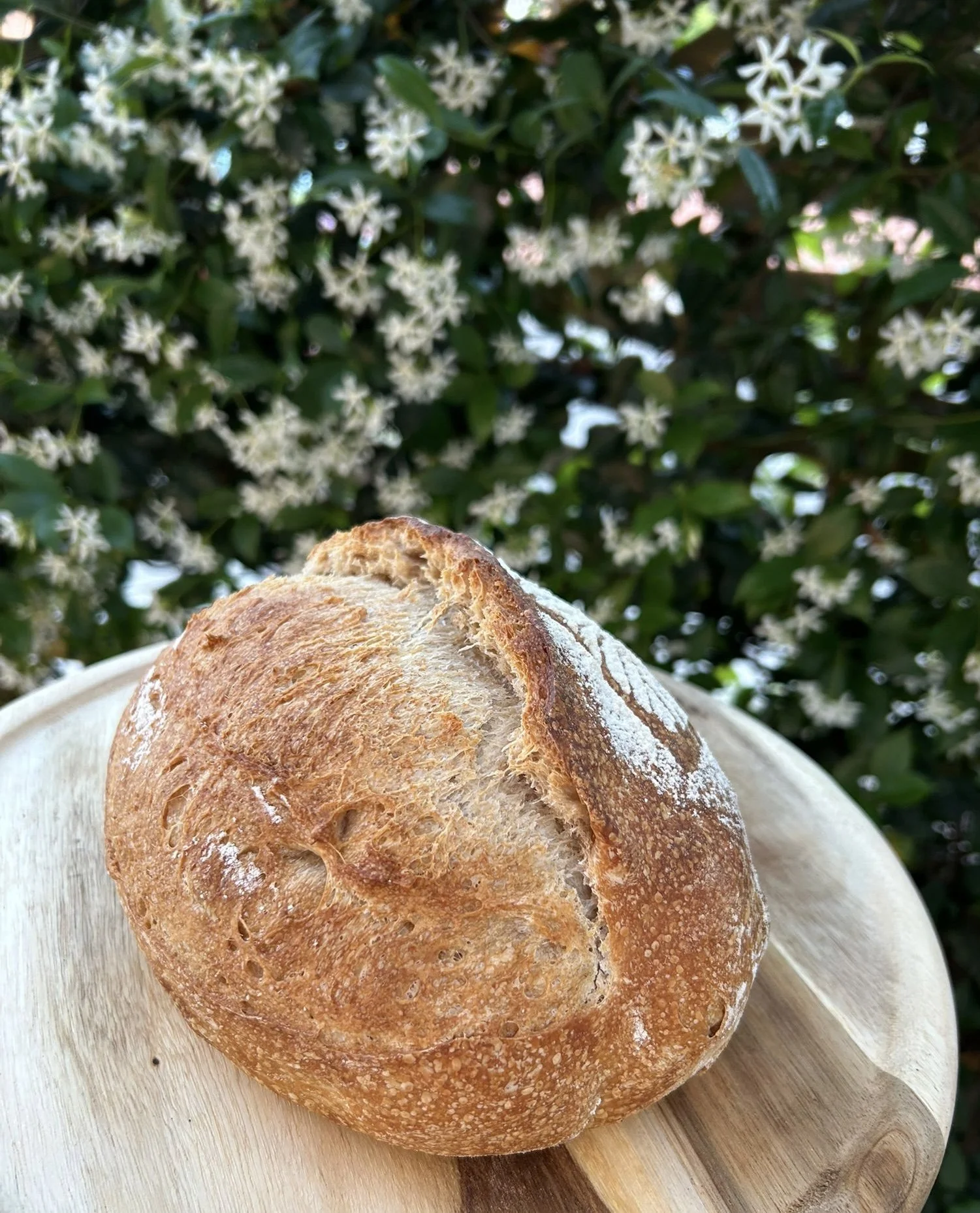 Spelt Sourdough Bread with Seeds