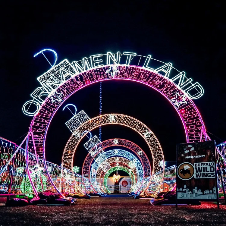 Light The Night Charleston's Biggest Winter Light Fest