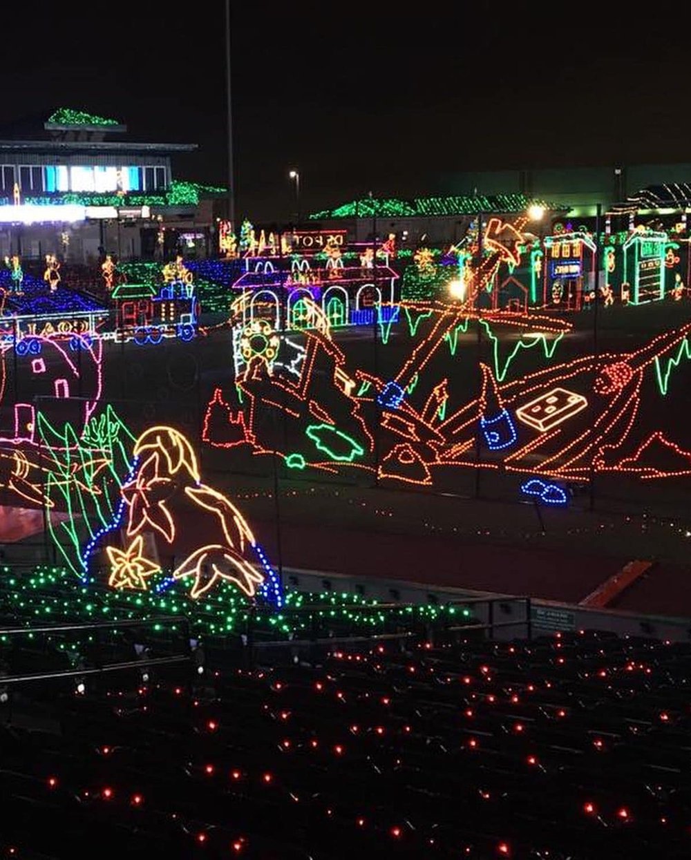 Light The Night Charleston's Biggest Winter Light Fest