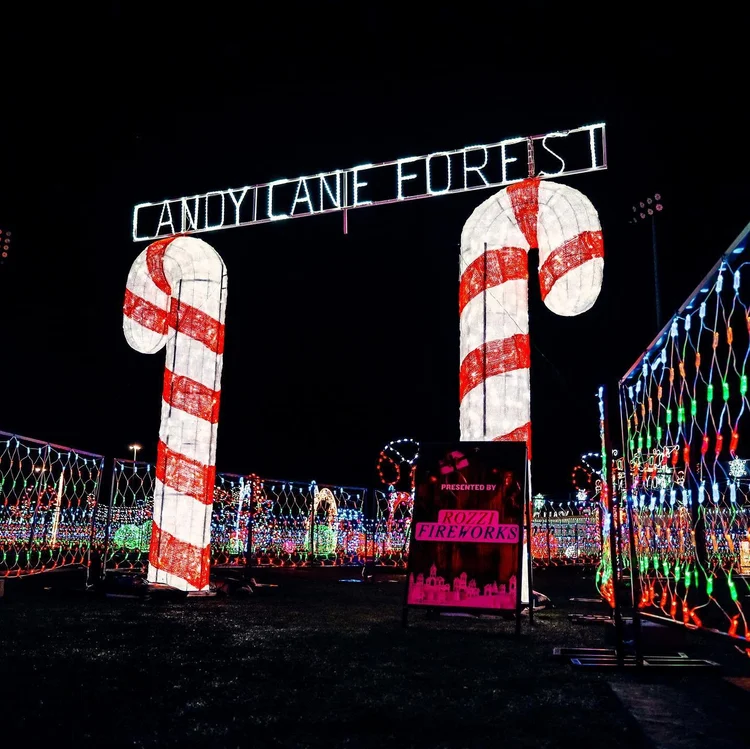 Light The Night Charleston's Biggest Winter Light Fest