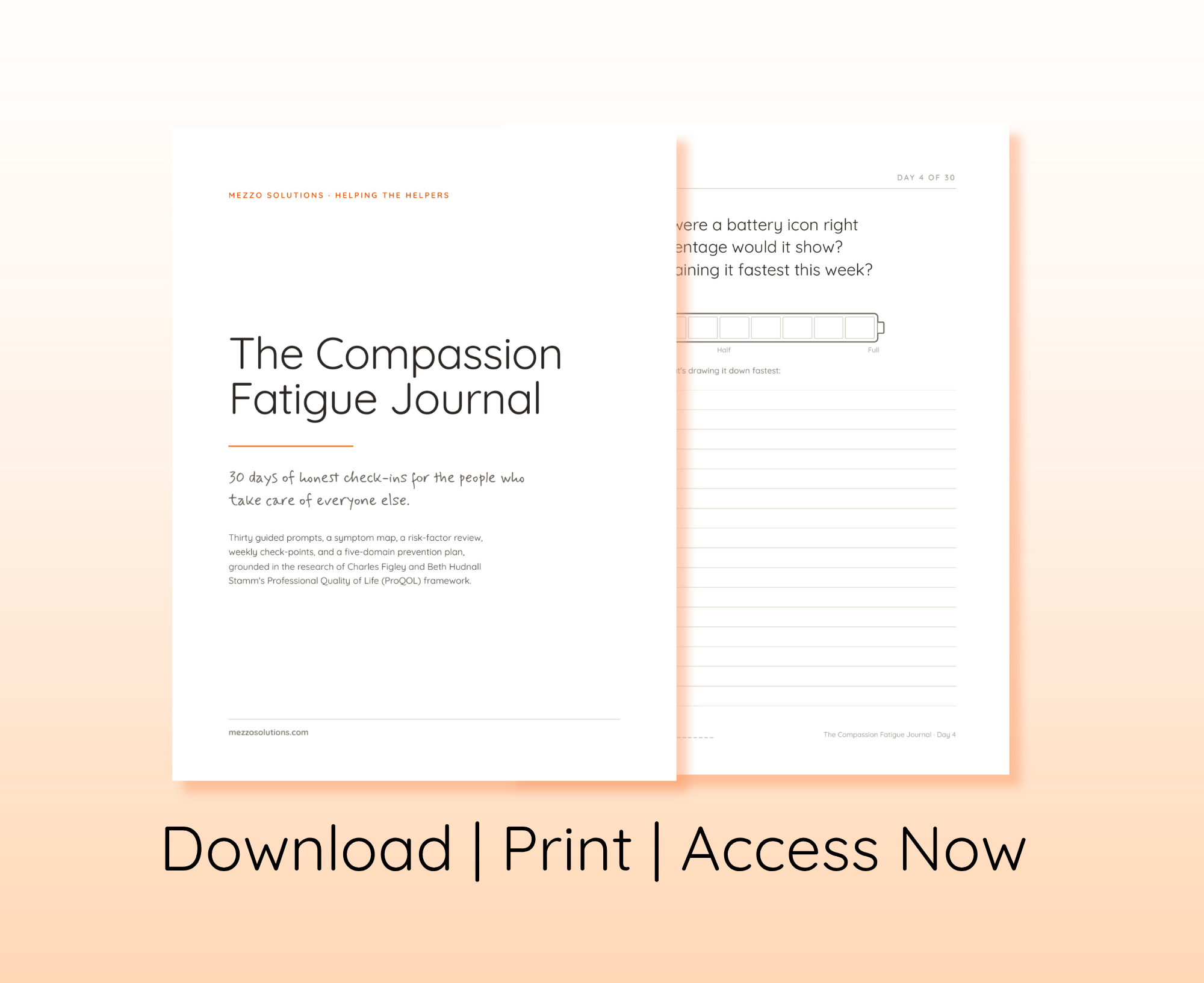 The Compassion Fatigue Journal