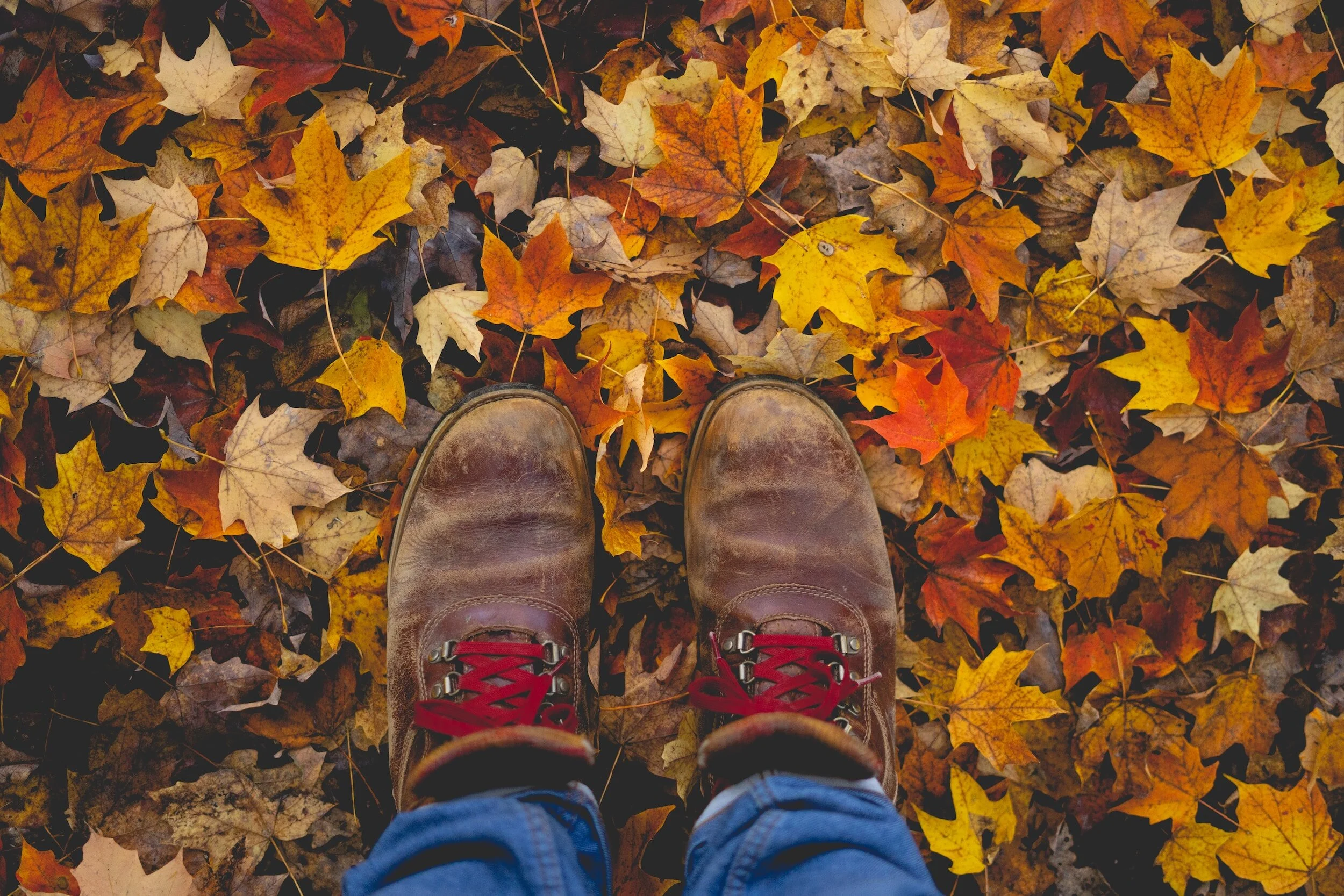 Navigating Autumn: A Guide to Enhancing Mental Well-being