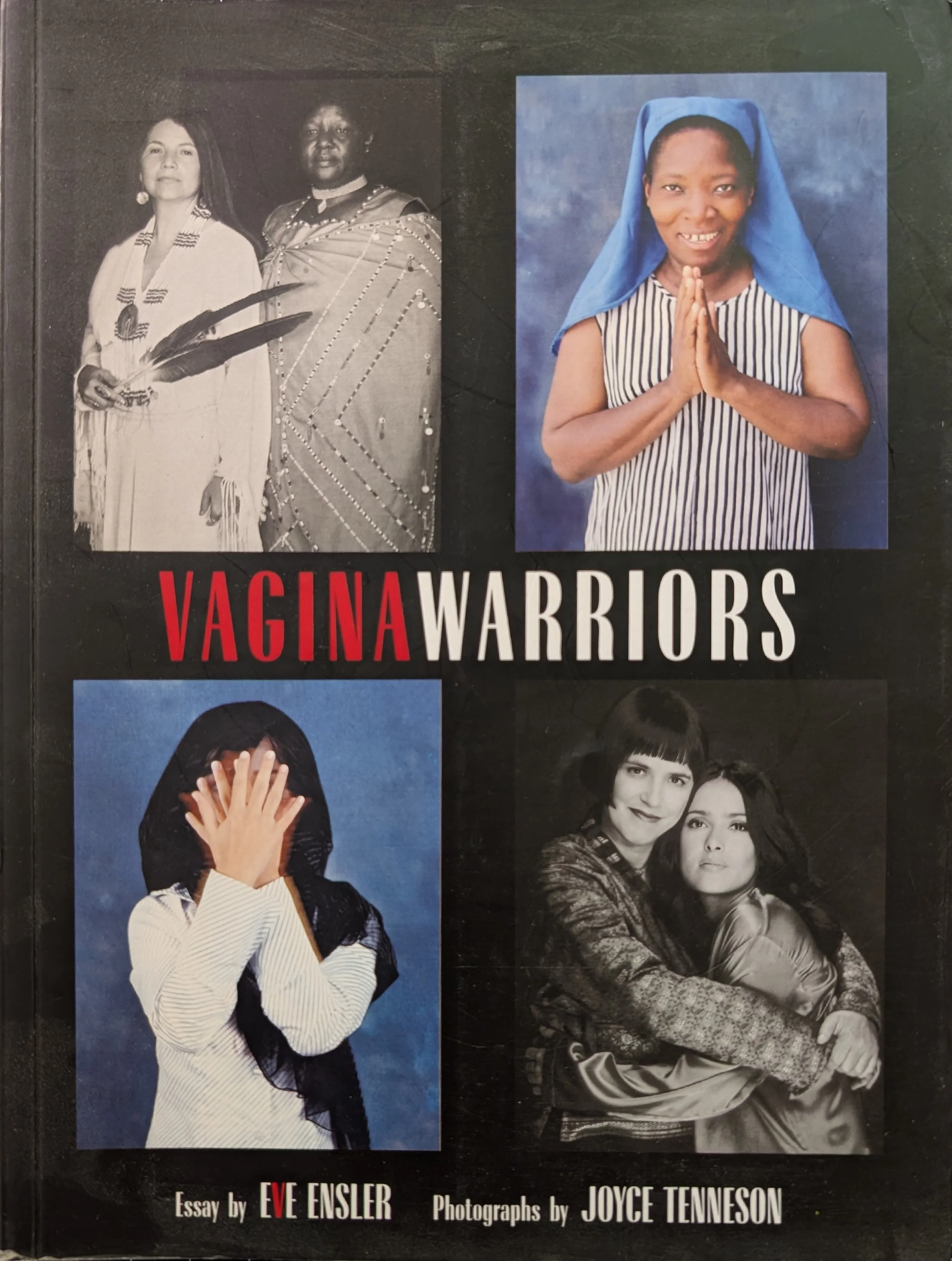 wagina warriors.jpg