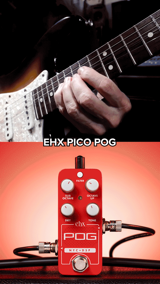 EHX_JUL23_POG_Petal-Comparison_1.gif
