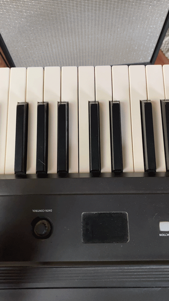 EHX_JUL23_SoundLab_ReRun-Keyboard.gif