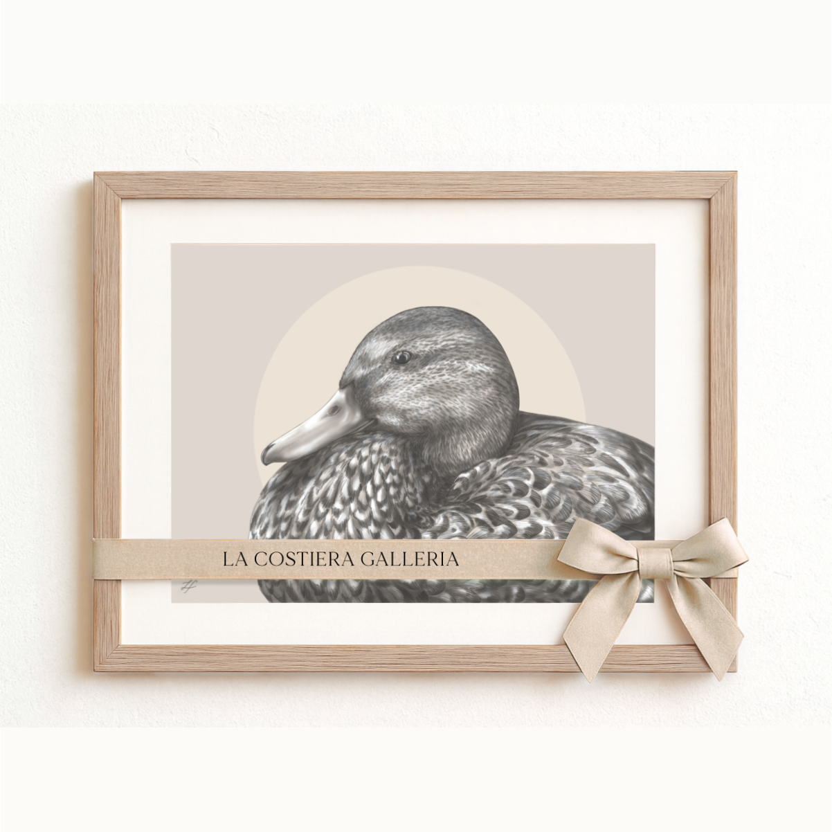 Female Mallard | Classic Illustration