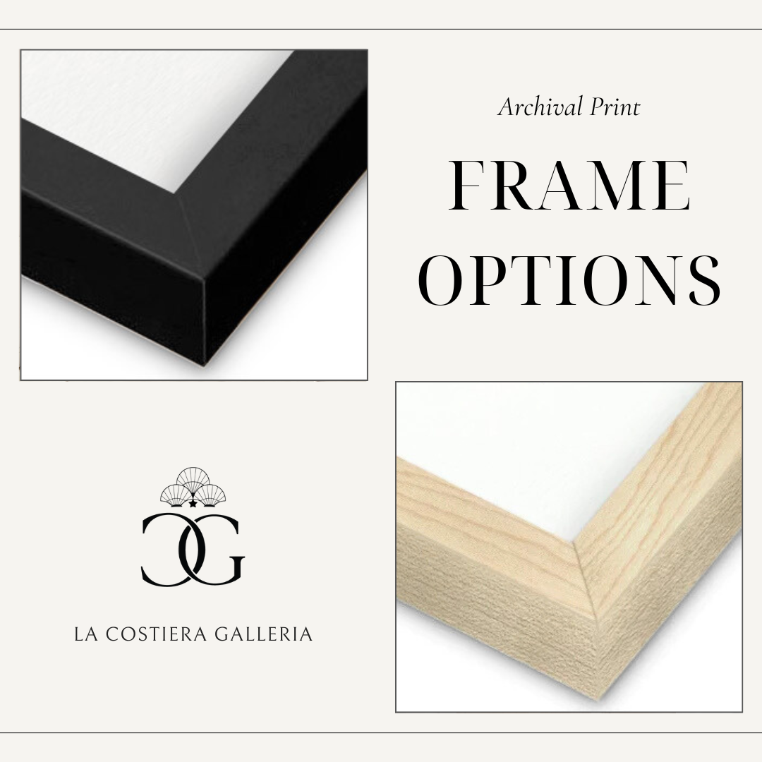 Frame_Options_LaCostieraGalleria.png