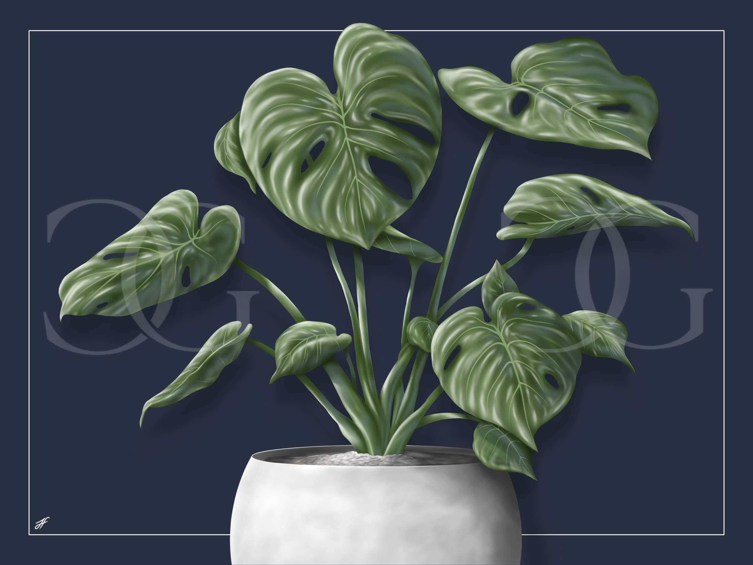 Grand_Monstera_LaCostieraGalleria.PNG