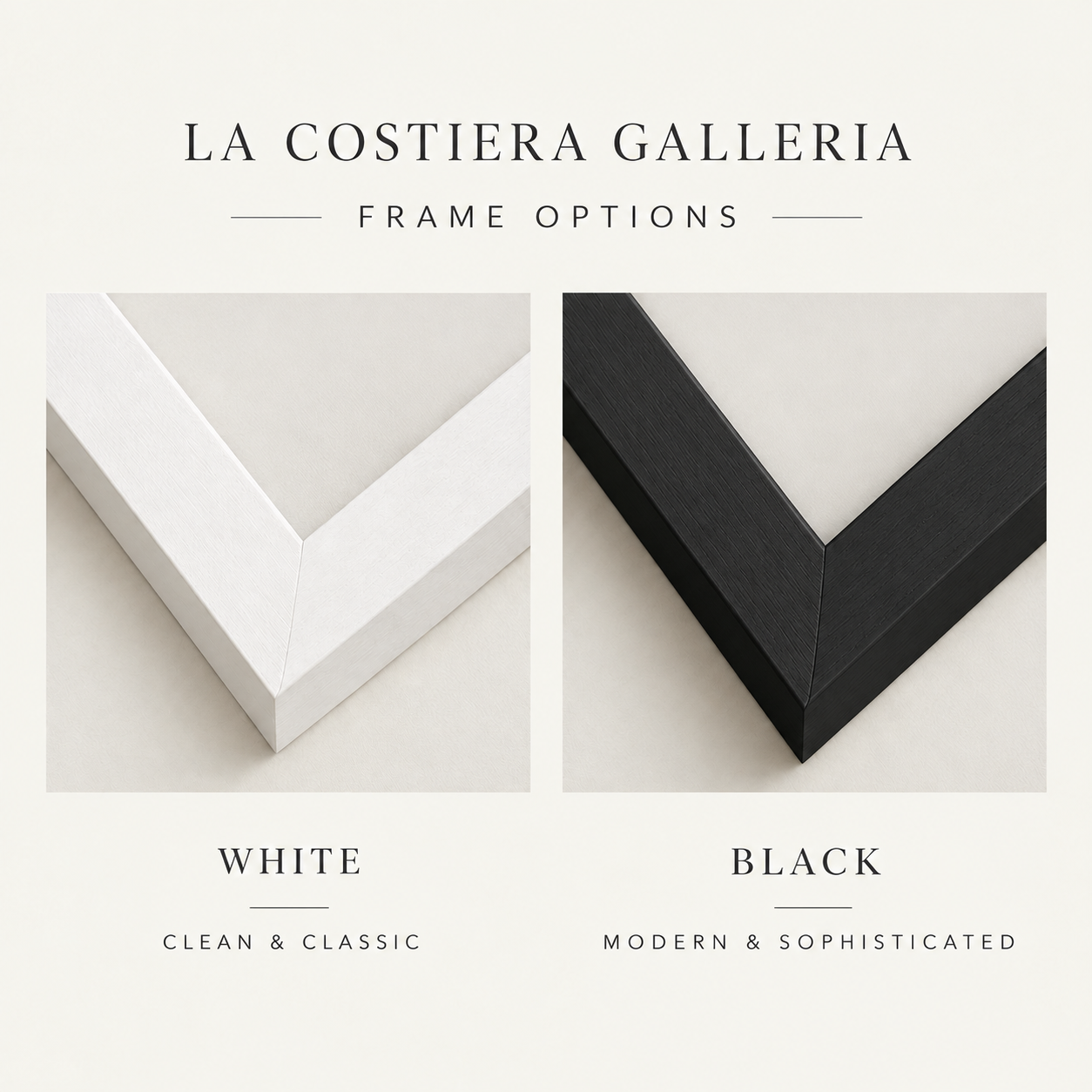 Black&WhiteFrames.png