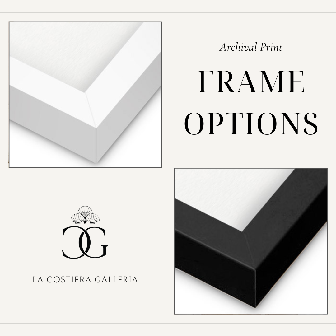 Frames.png