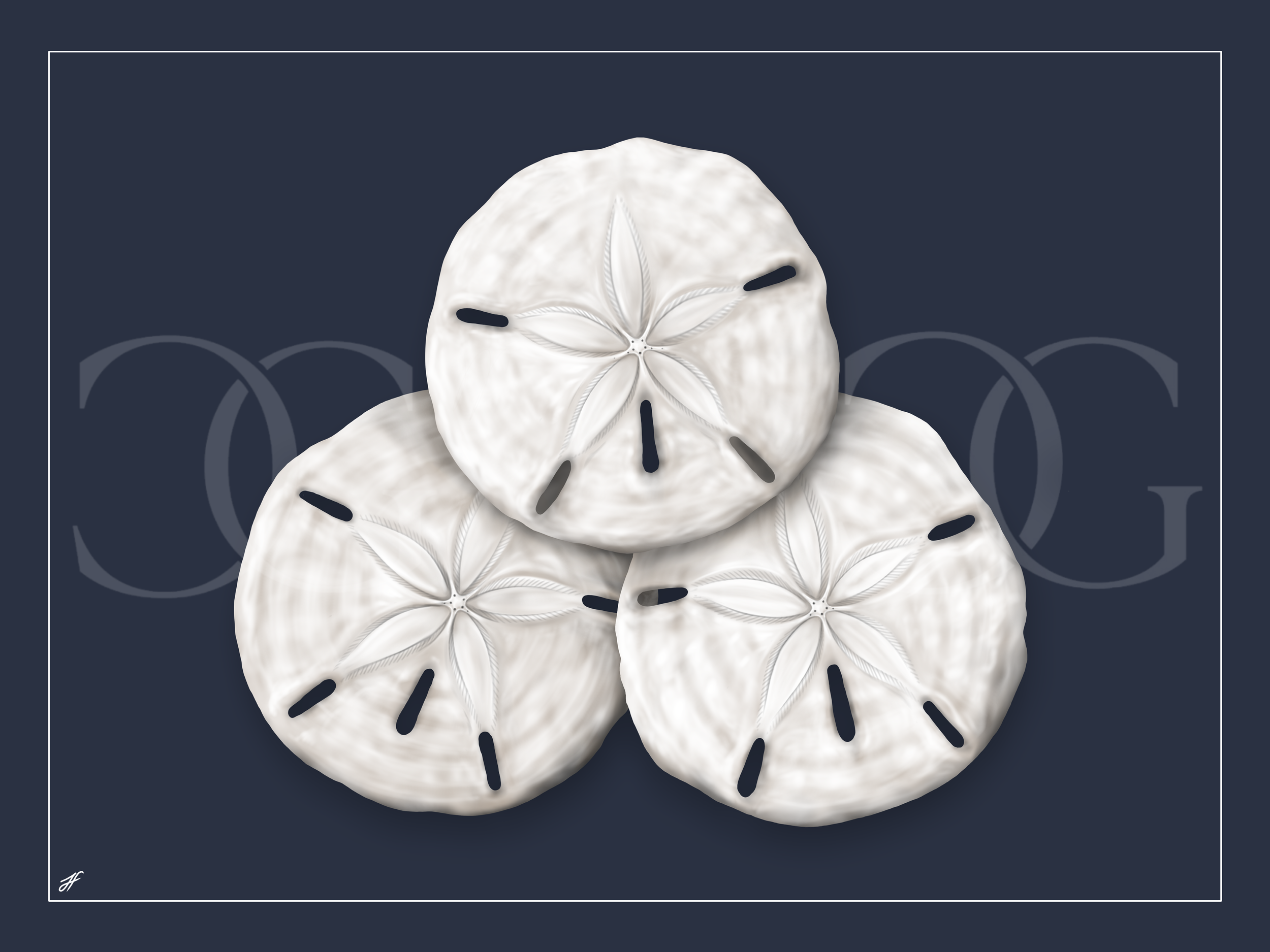 Sand_Dollar_Trio_LaCostieraGalleria.PNG