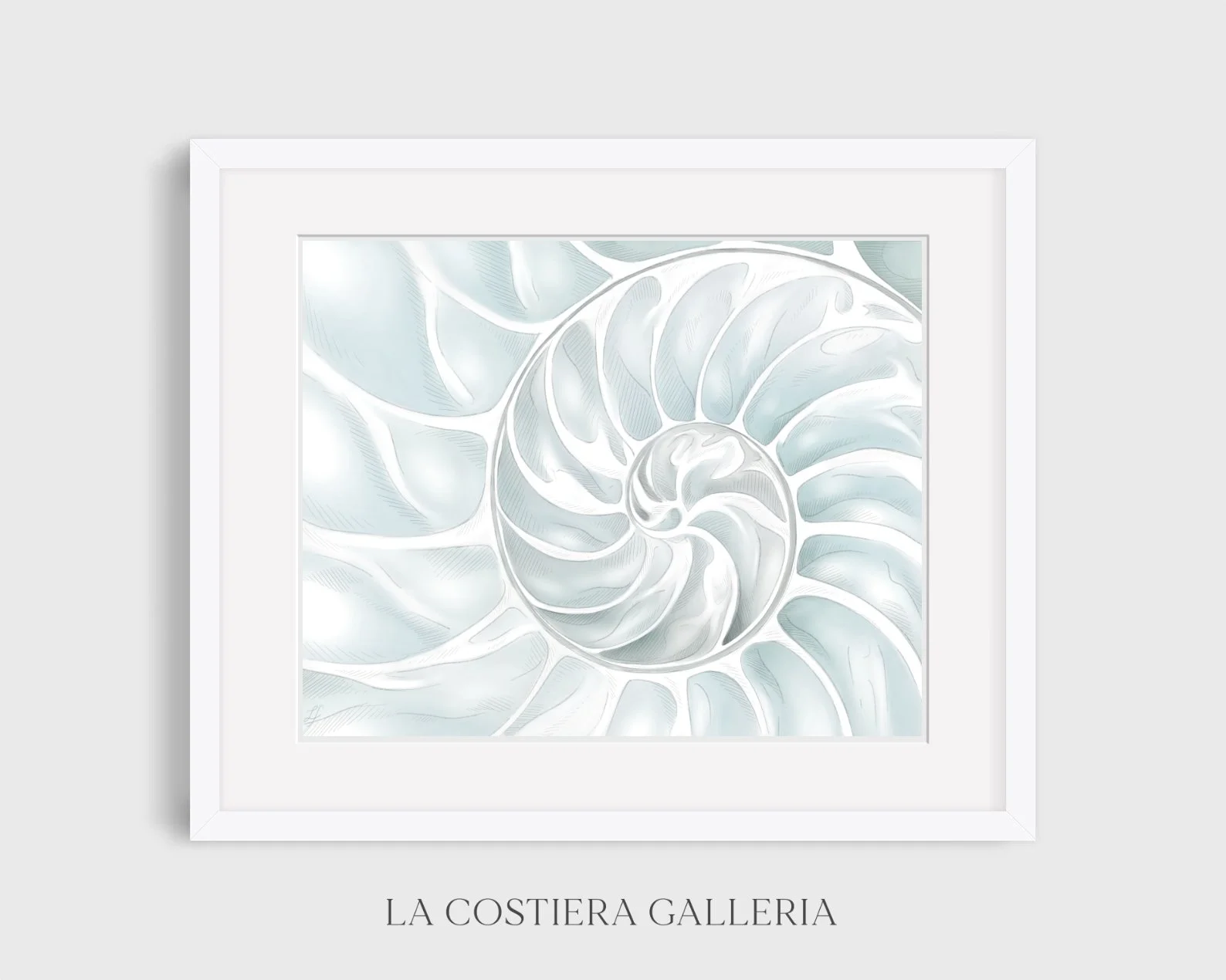 Framed_Nautilus_Shell_LaCostieraGalleria.jpg