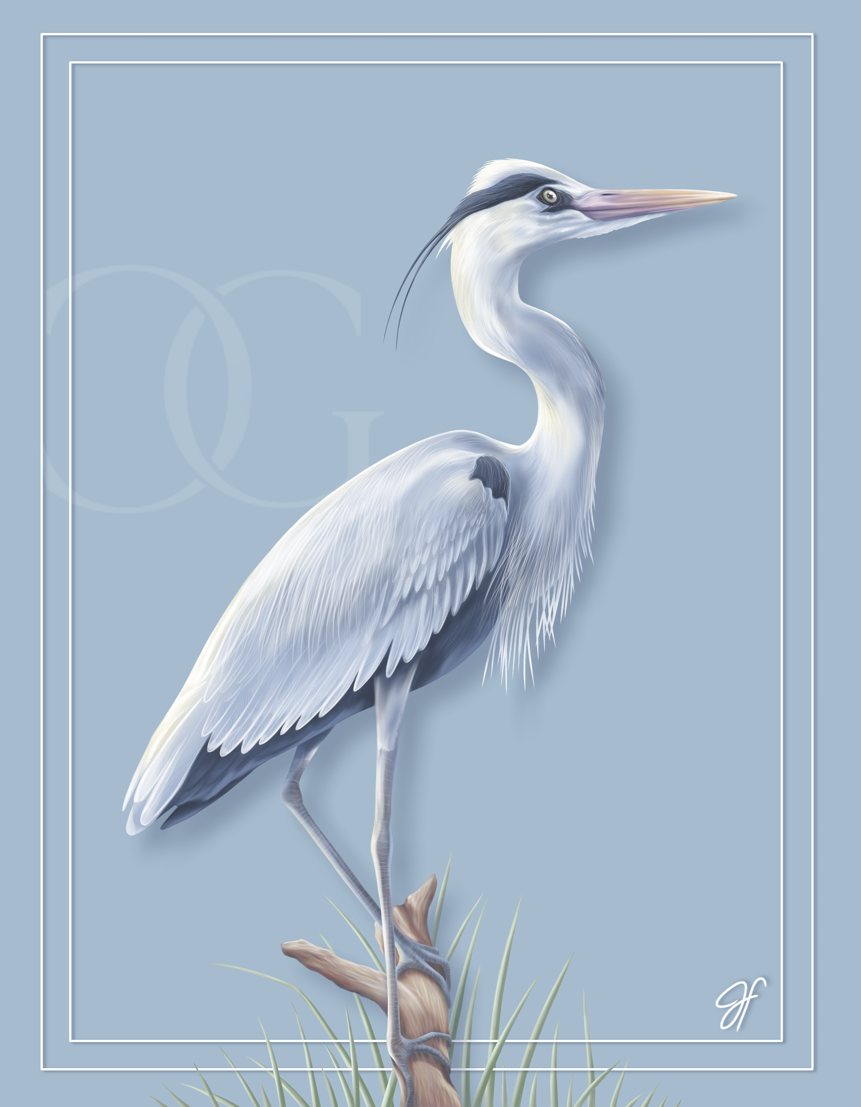 Wild_Heron_WM_LaCostieraGalleria.PNG