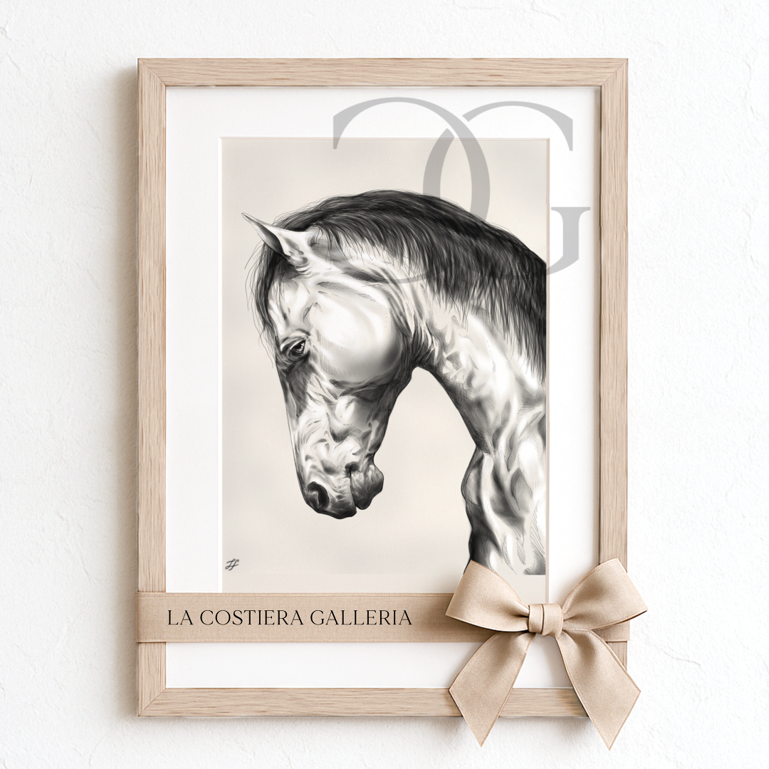 Framed_SouthernStallion3_LaCostieraGalleria.png