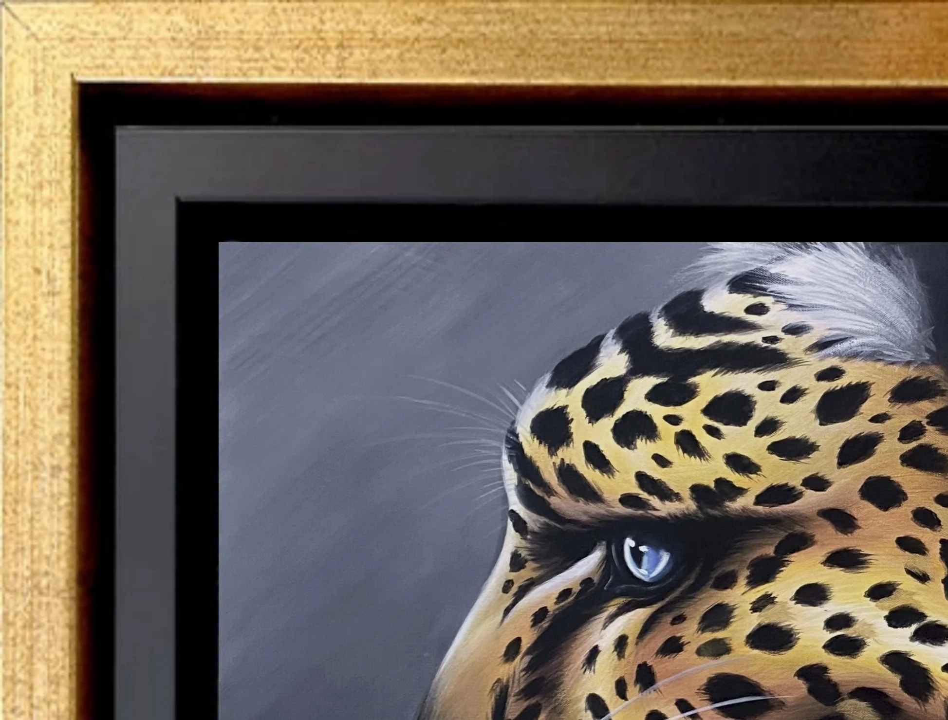 floating-frames-Leopard.jpg