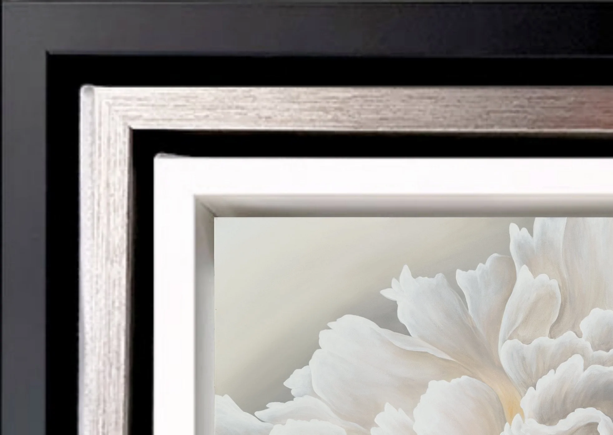 floating-frames-Carnation.jpg