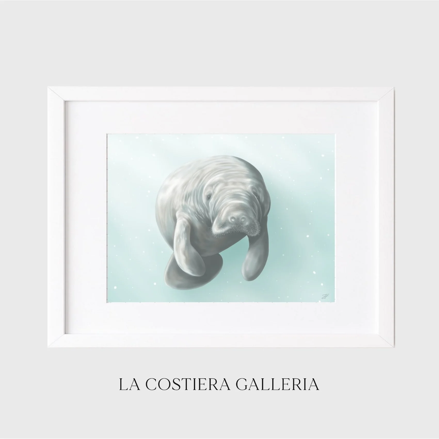 FloridaManatee-LaCostieraGalleria.jpg