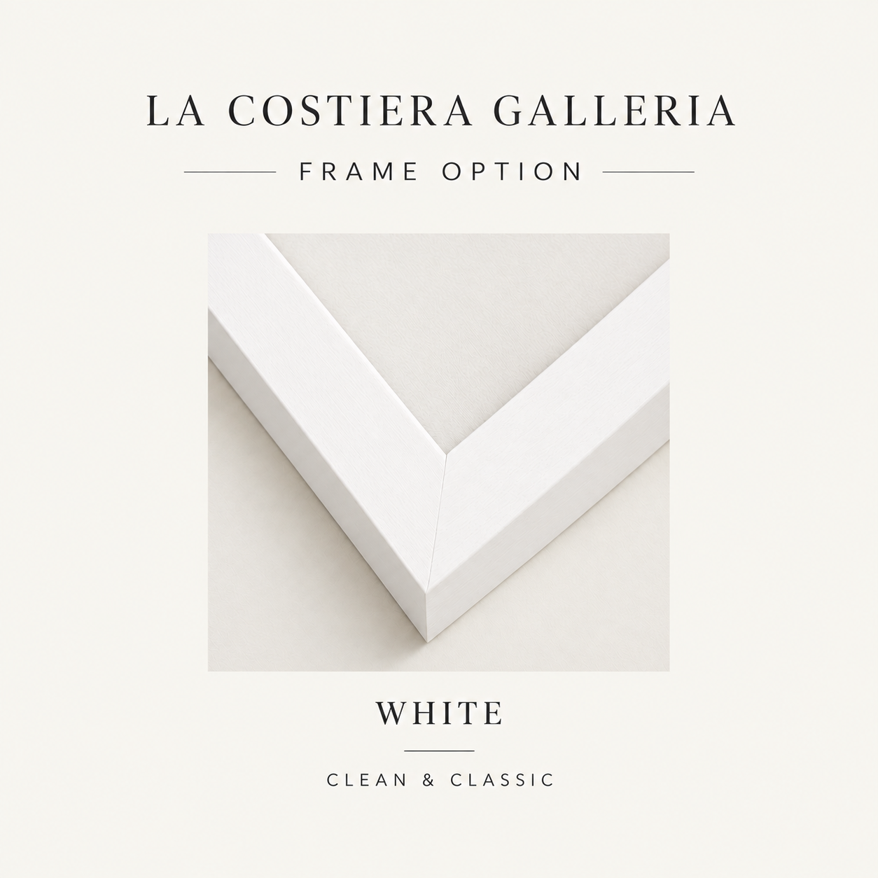 WhiteFrame.png