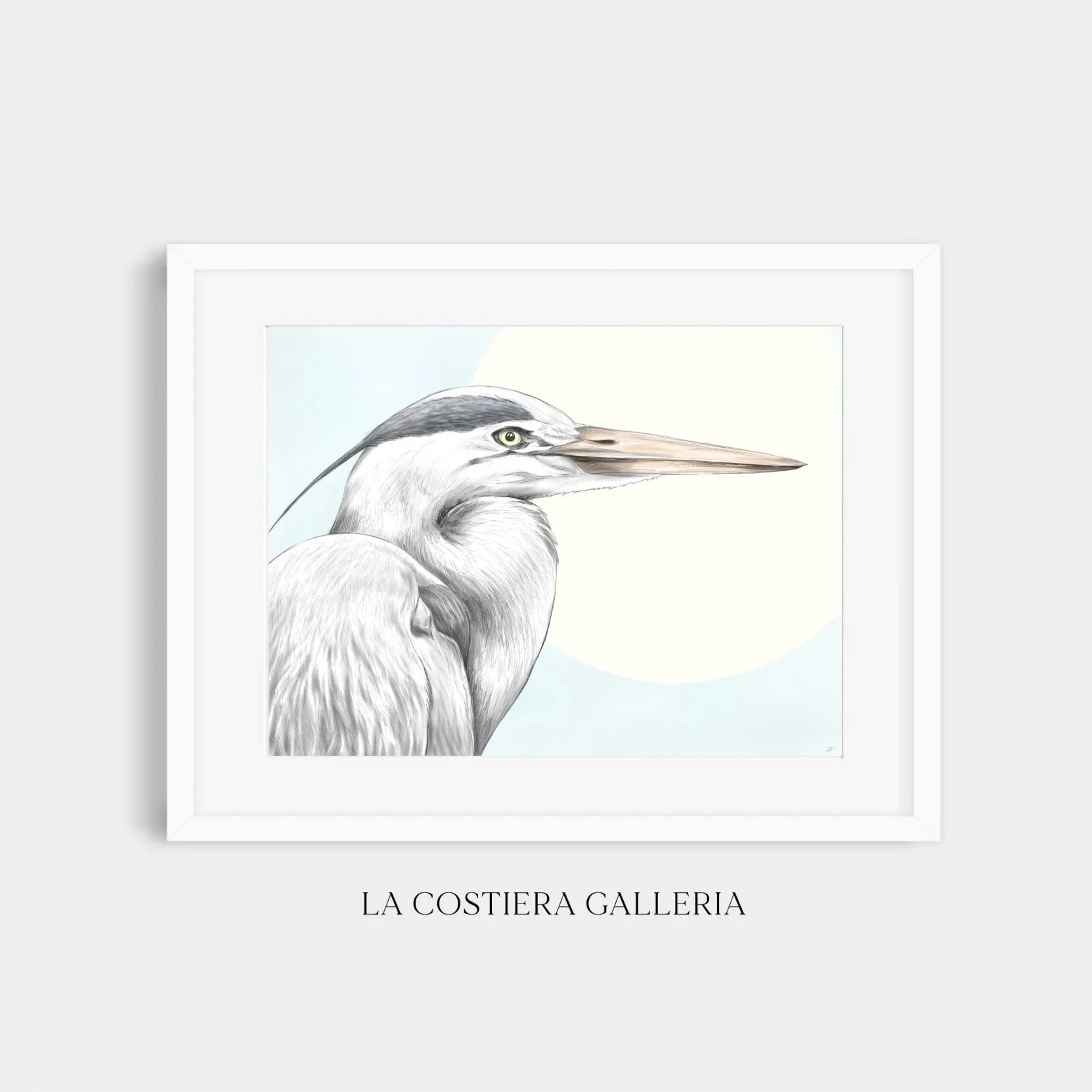NobleHeron_LaCostieraGalleria.jpg
