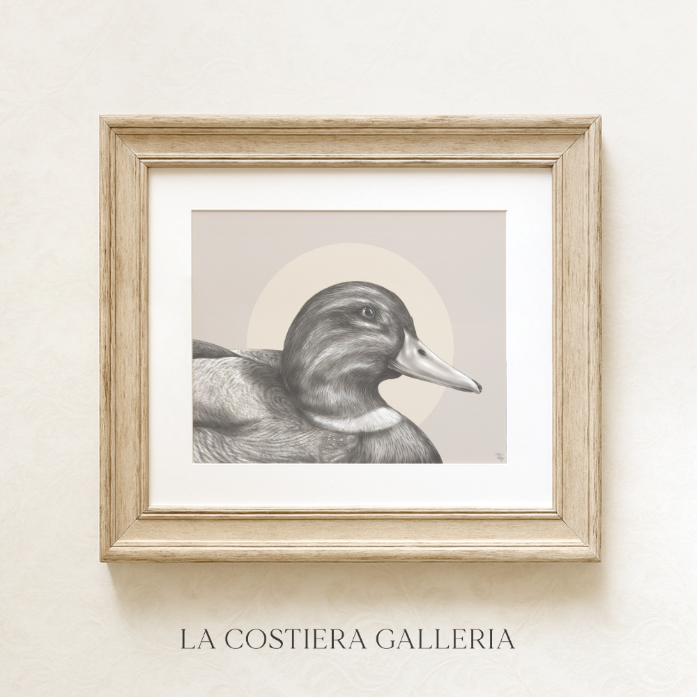 Framed_Male_Mallard-LaCostieraGalleria2.png (Copy)