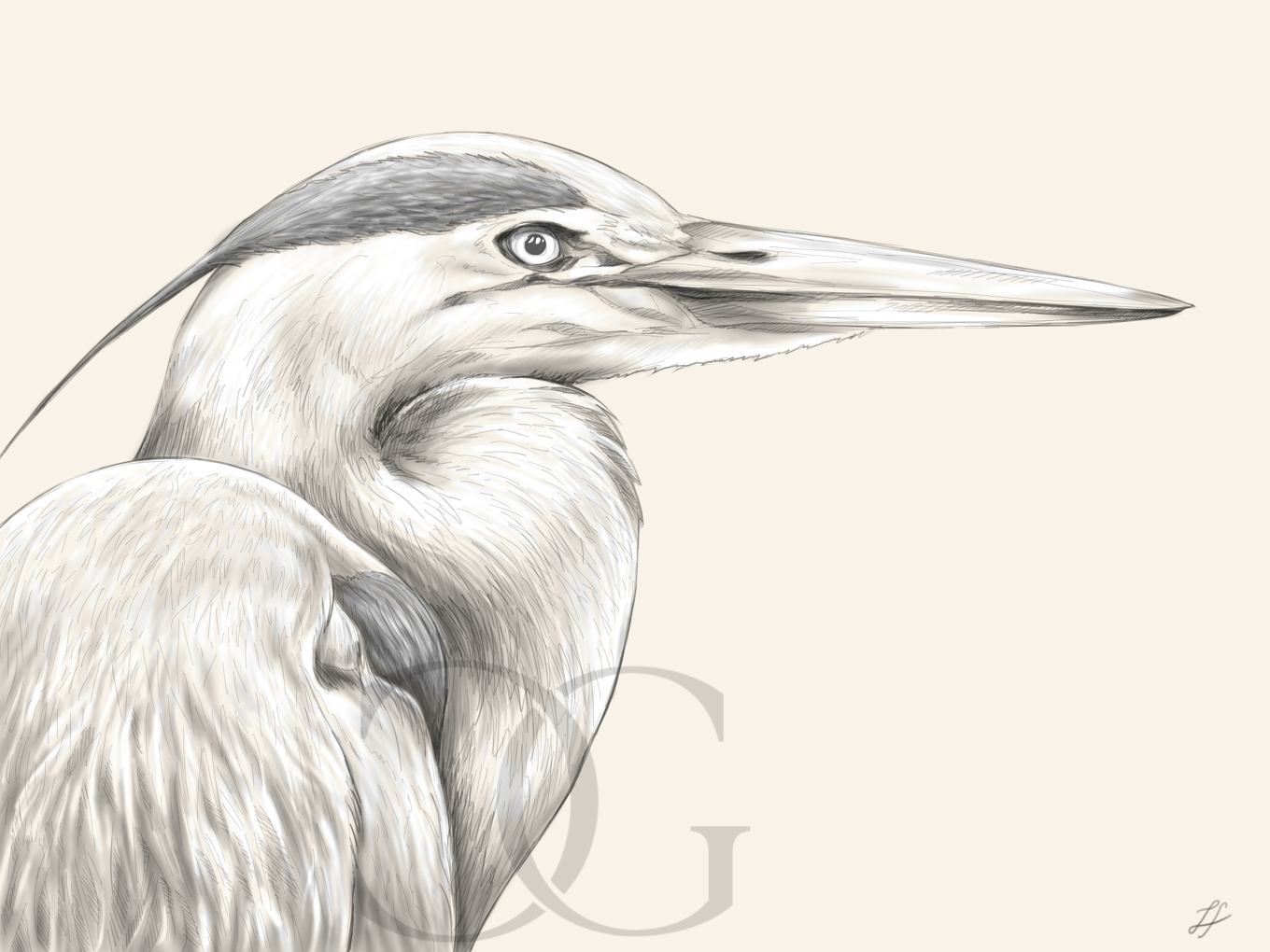 Noble_Heron_Beige_LaCostieraGalleria.png