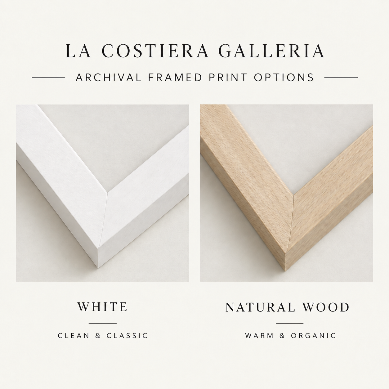 Archival_Framed_Print_Options.png