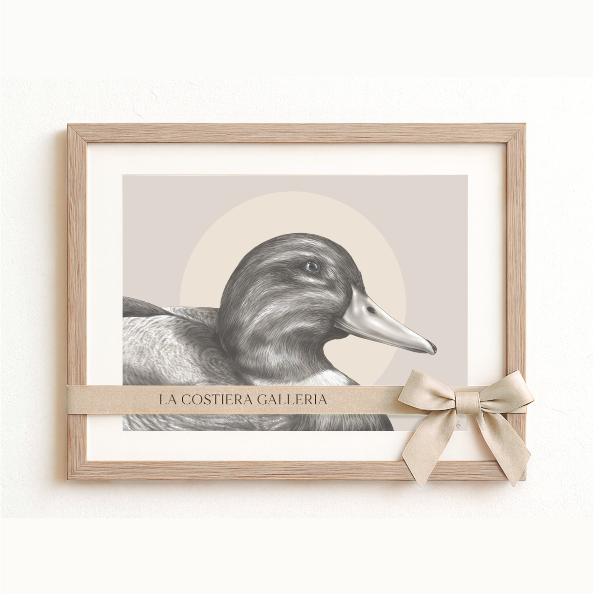 Male Mallard | Classic Illustration