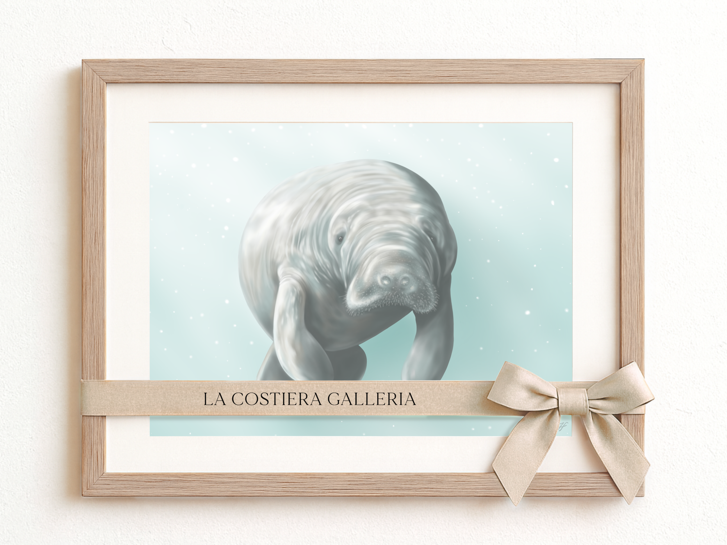 Florida_Manatee_LaCostieraGalleria..png