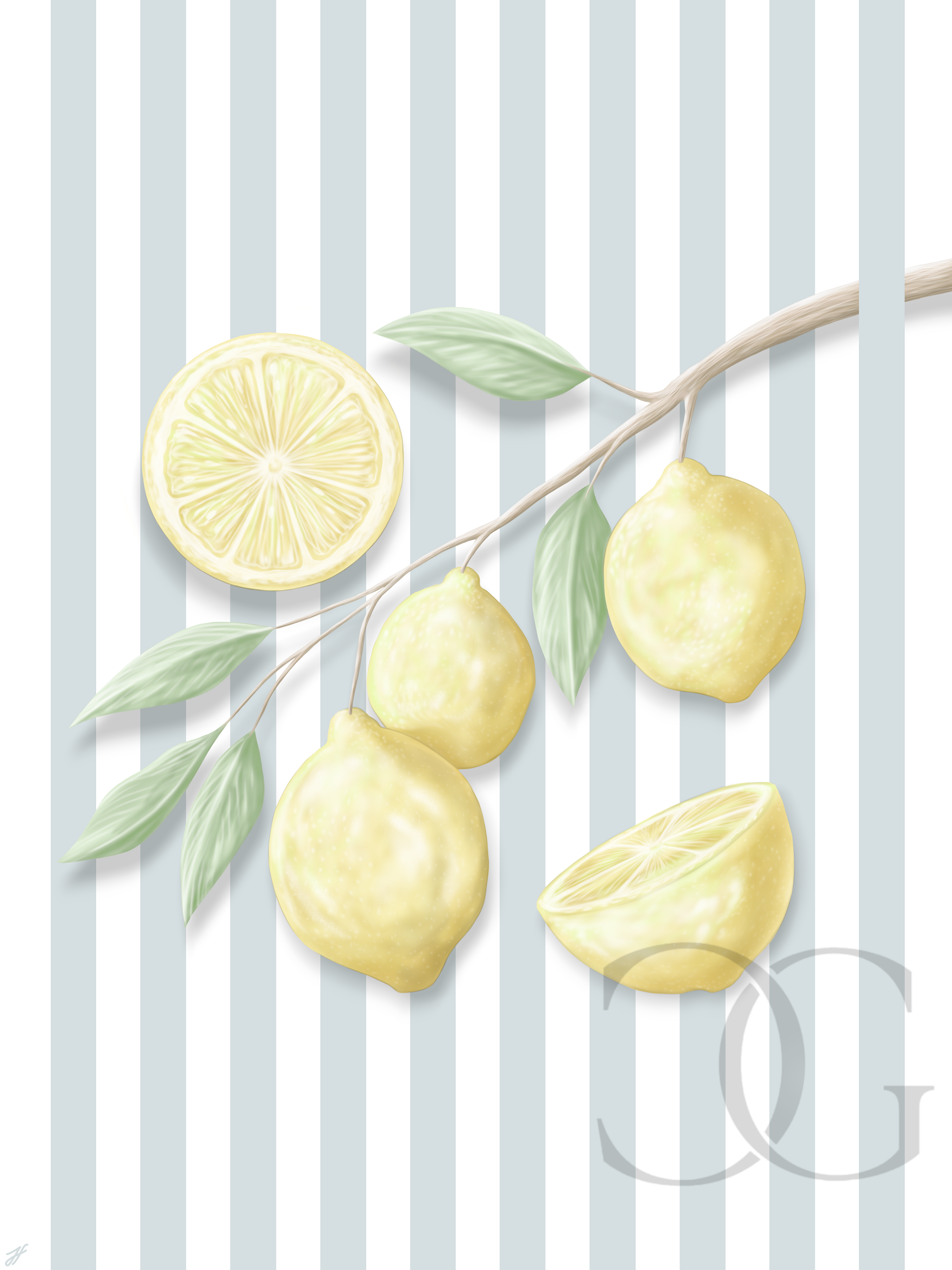 FreshLemons-LaCostieraGalleria.PNG