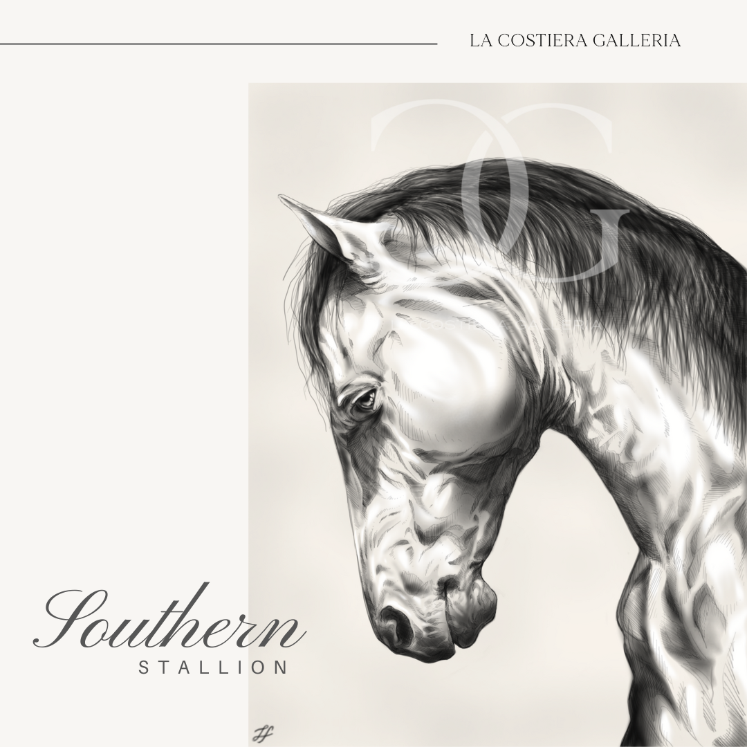 SouthernStallion_LaCostieraGalleria.png
