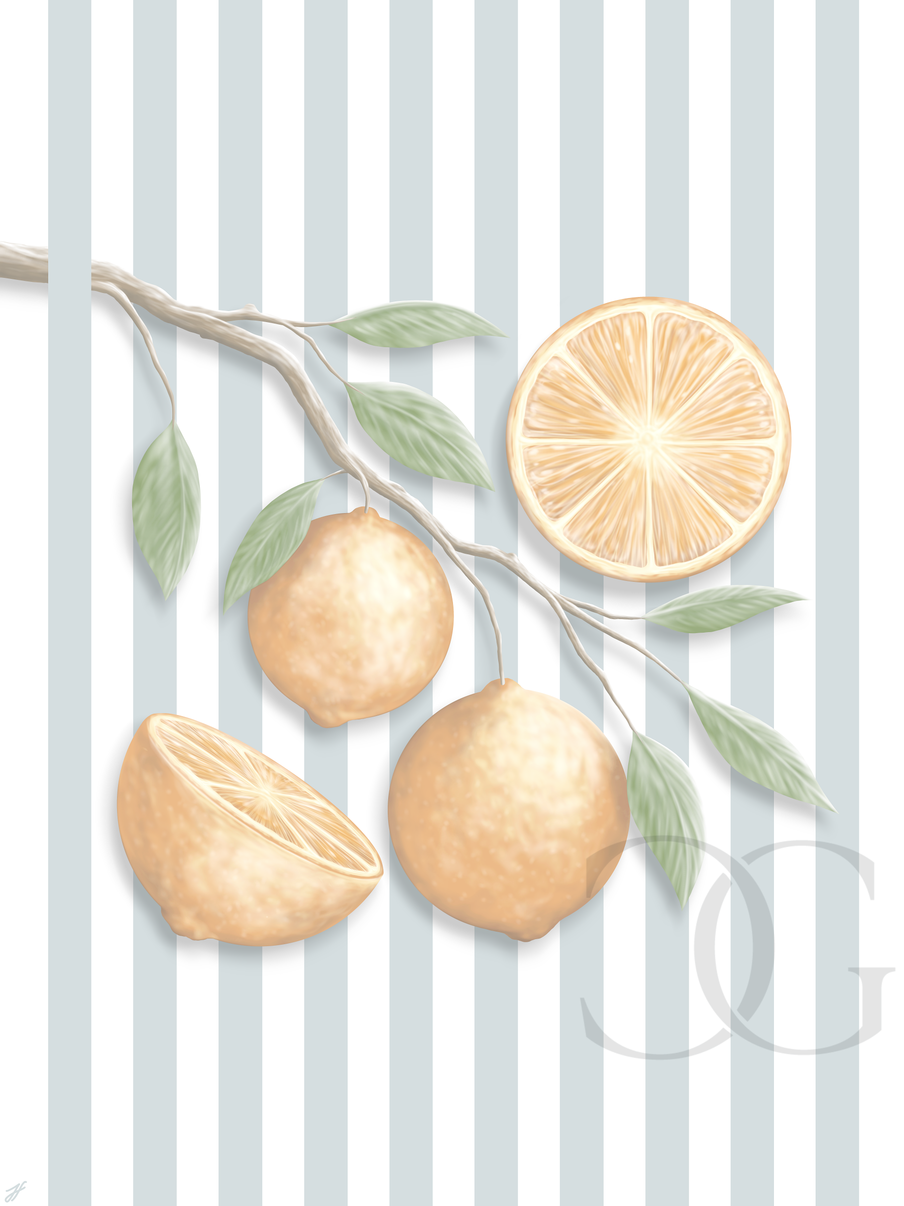 Florida_Oranges-La_Costiera_Galleria.PNG