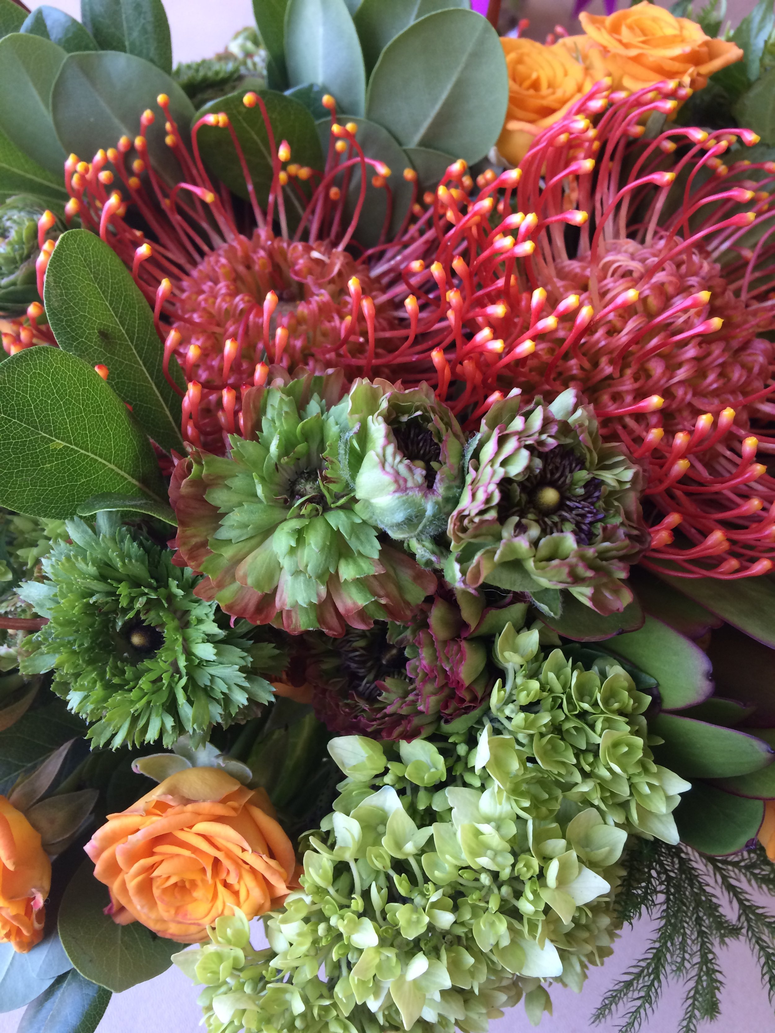 Thoughts in Bloom Napa.JPG