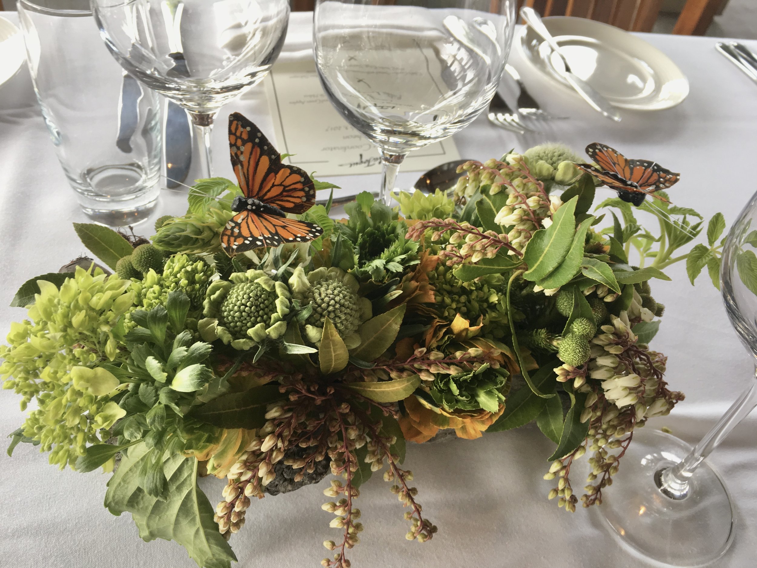 Thoughts in Bloom Napa Flowers.JPG