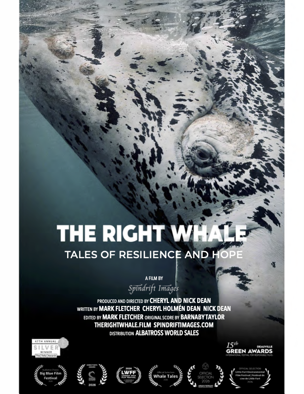  The Right Whale: Tales of Resilience Documentary Screening 