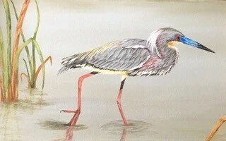 GEORGIA COASTAL ARTISTS GUILD