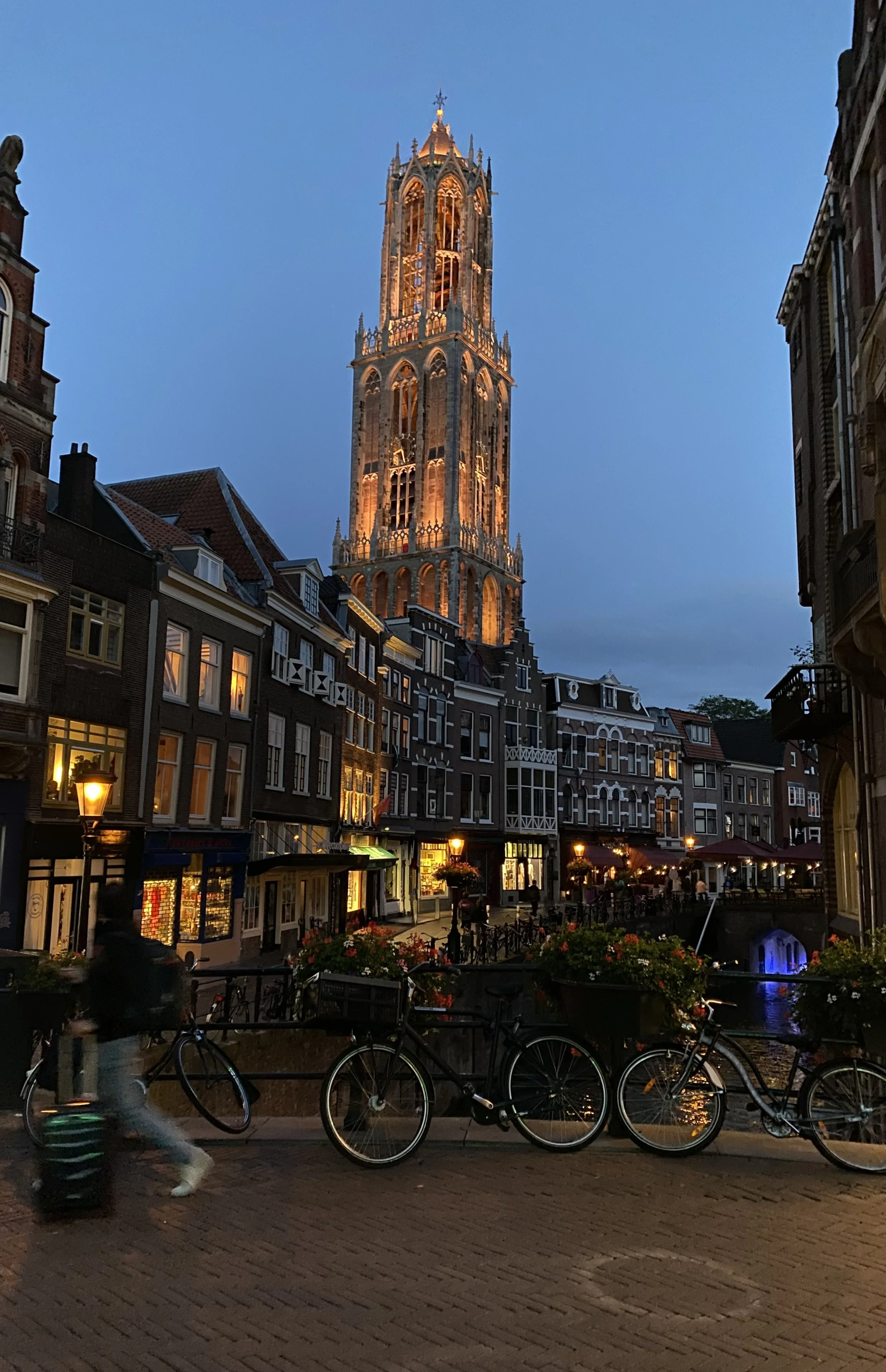 IMG_2023.jpeg