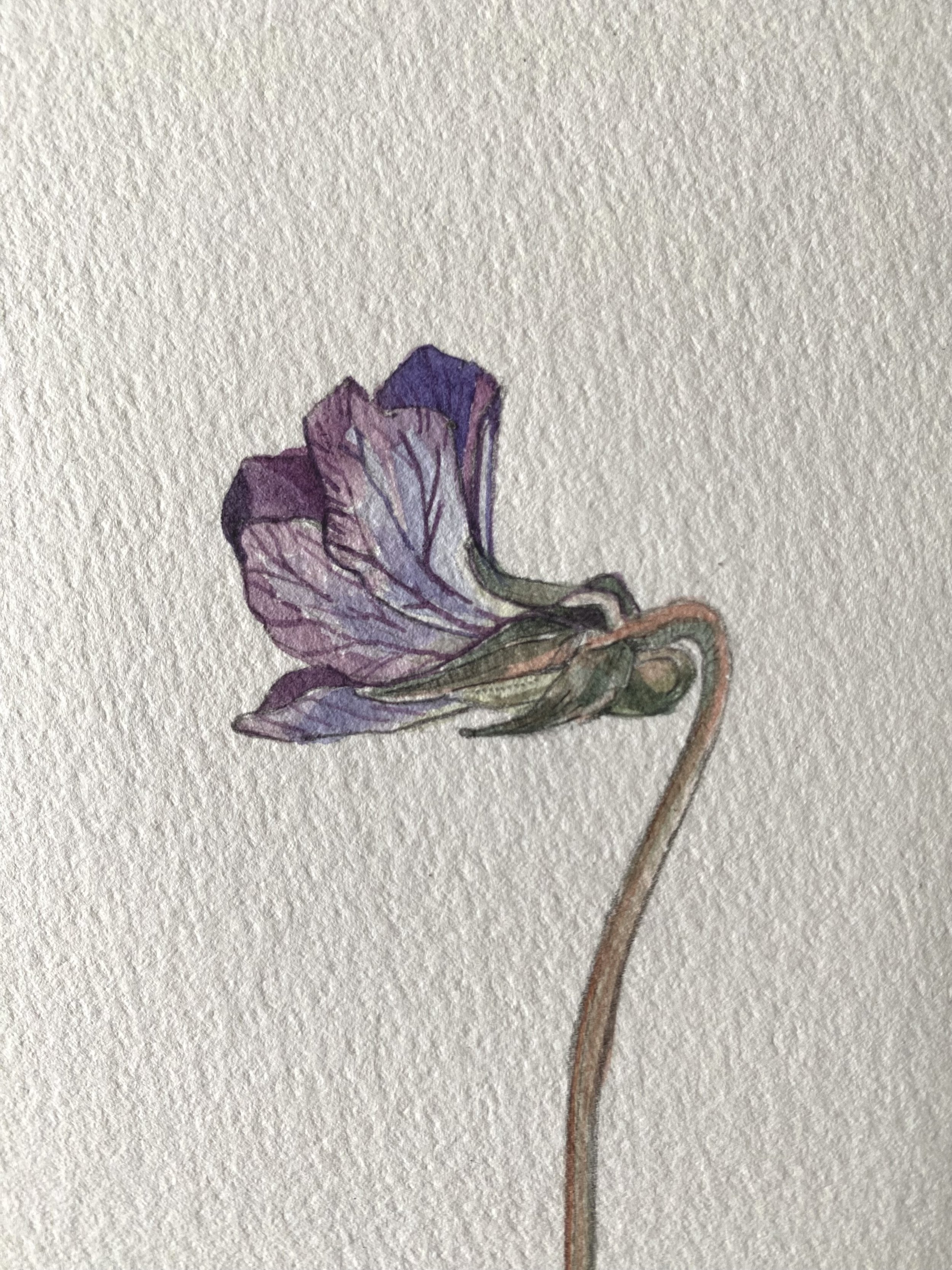 IMG_0291.jpeg