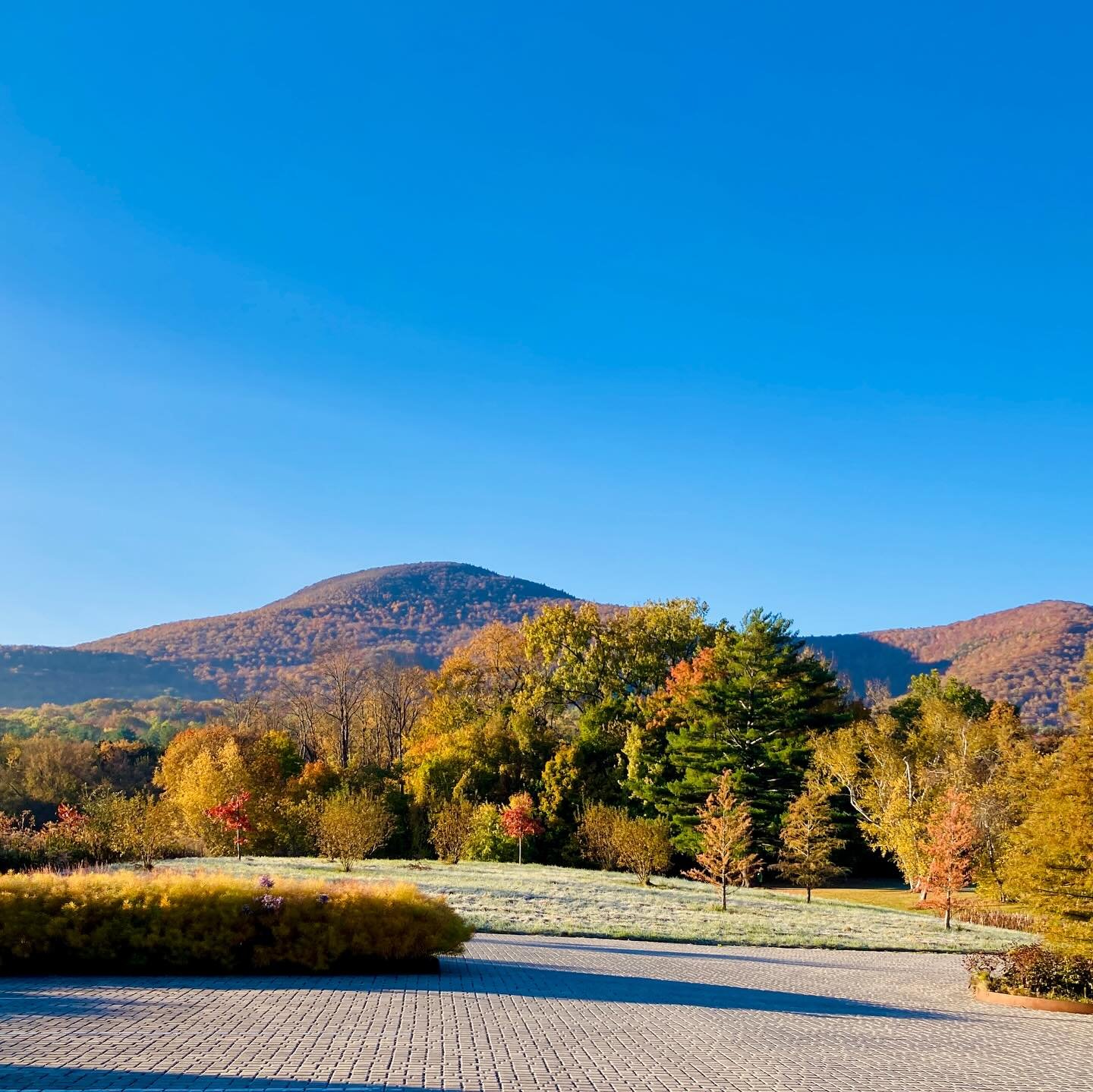 Gorgeous warm Fall glimpses to inspire and motivate us to hold communities close and carry on with compassion.