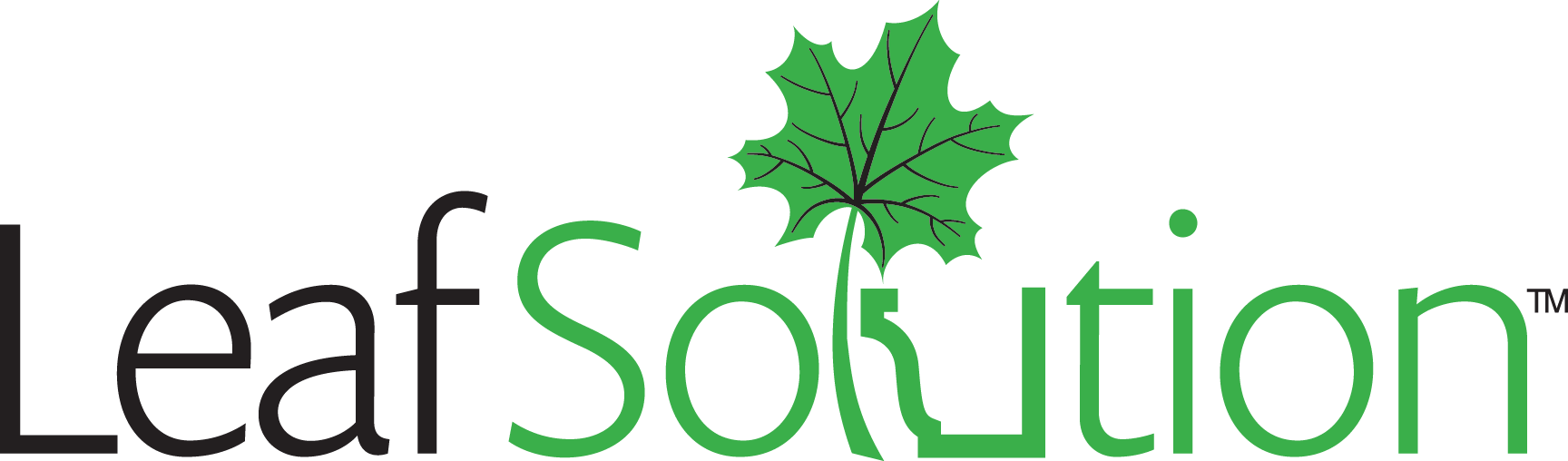 Leaf Solution